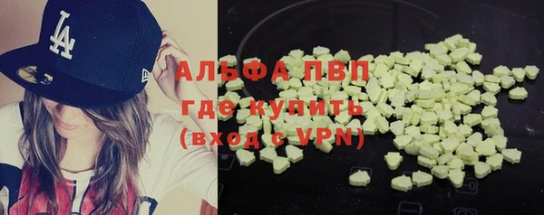 стафф Нефтекумск