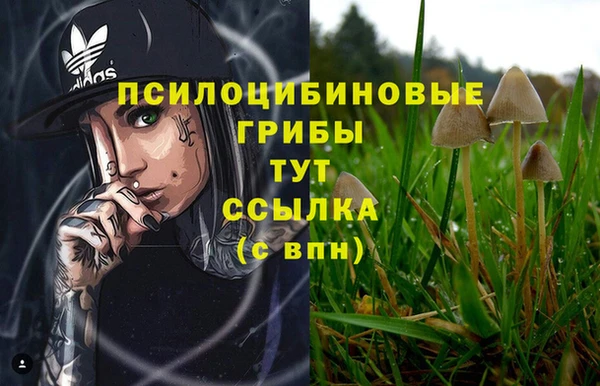 спиды Нефтегорск