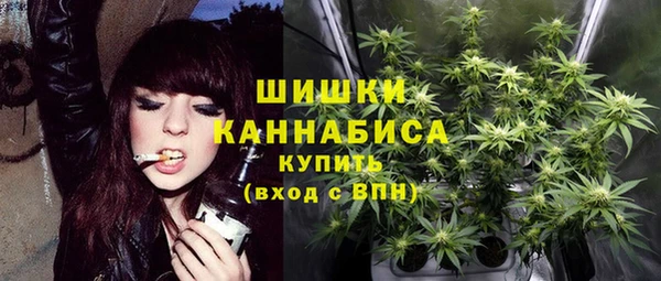 бошки Надым