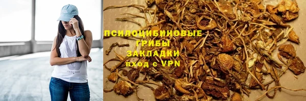 трава Ахтубинск