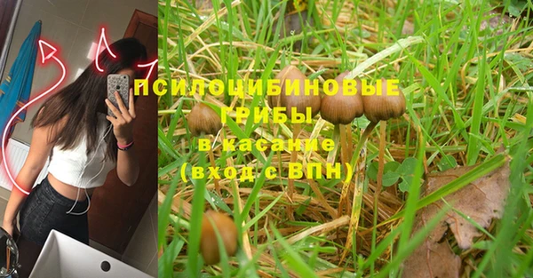 бошки Надым