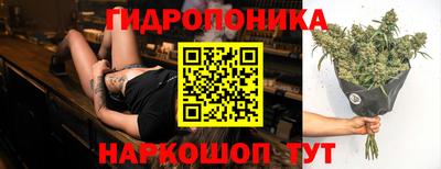 спиды Берёзовский