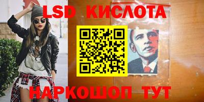 шишки Беслан