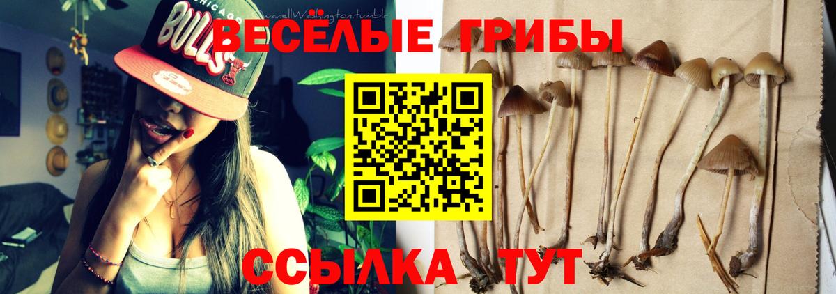 наркошоп  Галлюциногенные грибы прущие грибы  Вход с VPN  Волжский  Галлюциногенные грибы Magic Shrooms 